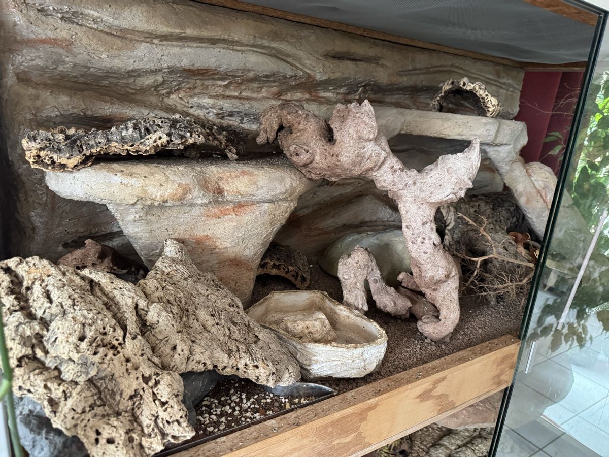 Terrario: Terrarium Forex Aluprofile – Usato da Wittinsburg venduto da Kira77 2