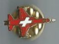Schweizer Luftwaffe Tiger, Pin