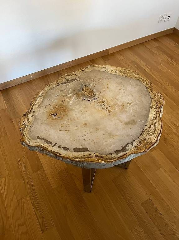 Pfister Tavoli: Couchtisch aus versteinerter Baumscheibe – Usato da Adliswil venduto da itsasecret 2