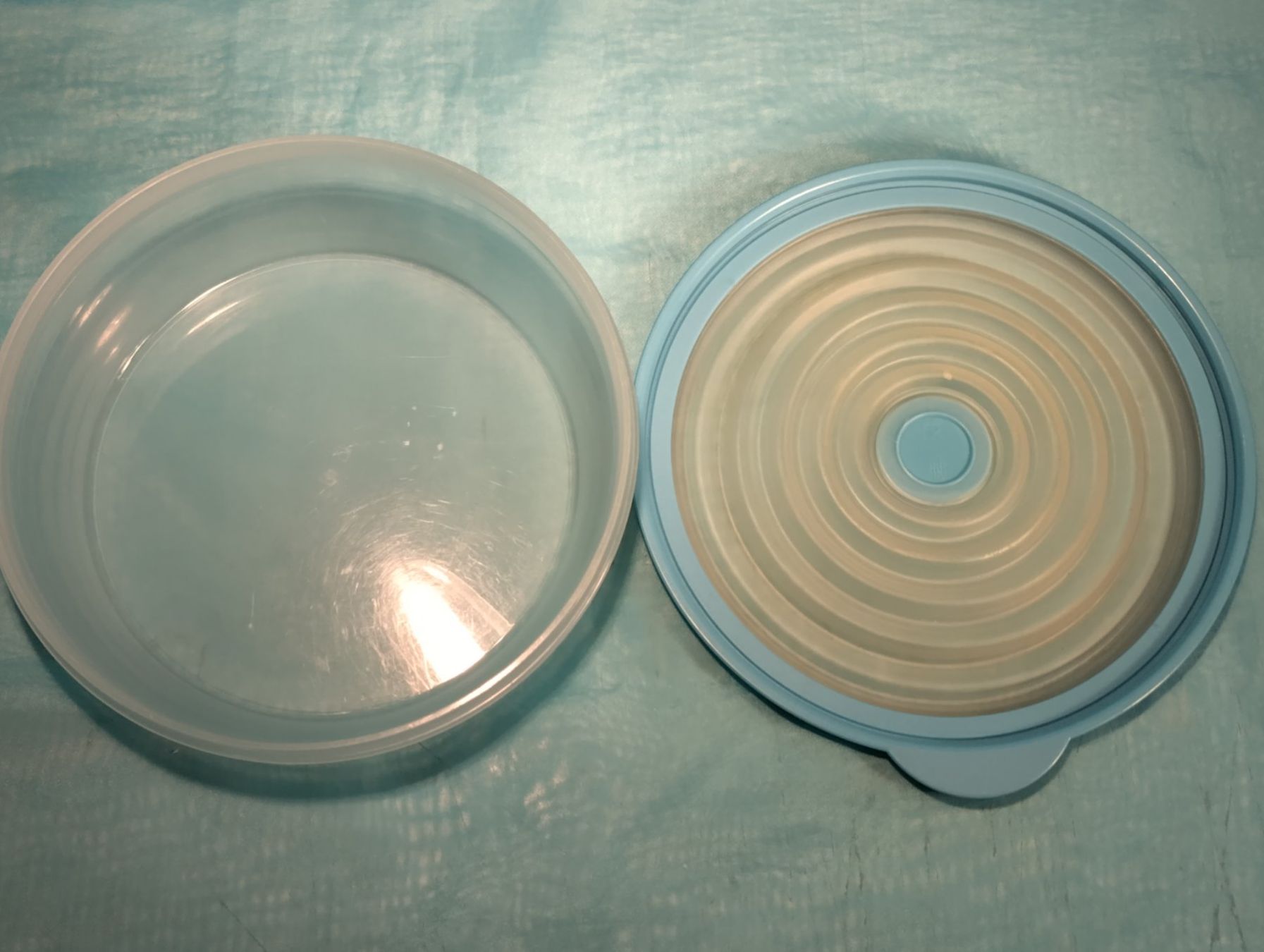 Tupperware Contenitori & Simili: Tupperware Behälter Bungee mit flexiblem Rillendeckel, 1L – Usato da Bellach venduto da JingleCherry 3