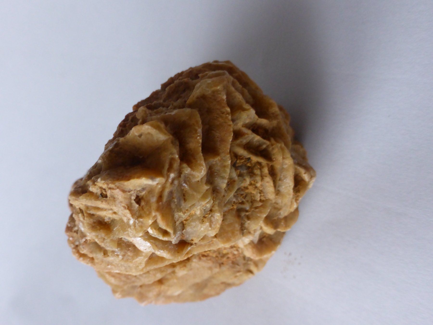 Mineralien & Heilsteine: Schweizer Gipsrose (Sandrose) – Gebraucht aus Triengen von Nussbaum14 1