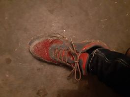 Stallschuhe 40
