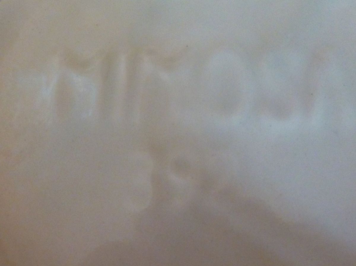 Ciotole: Schlichte Waschschüssel mit Krug Mimosa 392 – Usato da Schwarzenburg venduto da Unterwahlern 6