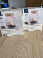 2 LED Dekobehälter NEU