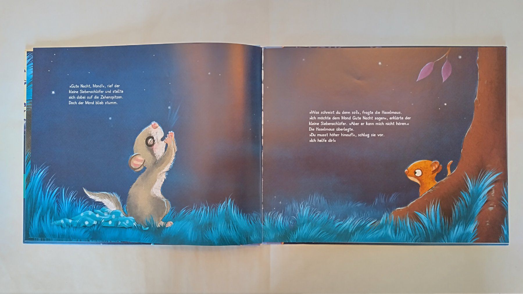 Libri: Die Geschichte vom kleinen Siebenschläfer der dem Mond.... – Usato da Bellach venduto da JingleJerry 3