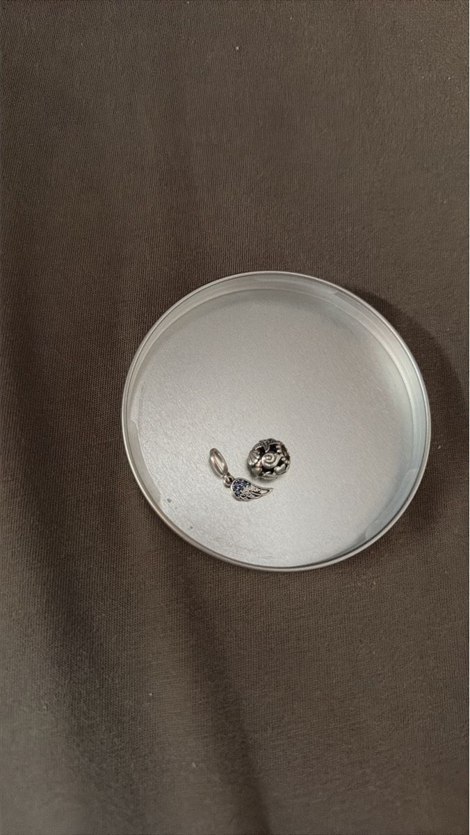 Pandora Anhänger: Pandora Charm – Gebraucht aus Winterthur von zwa_tr97