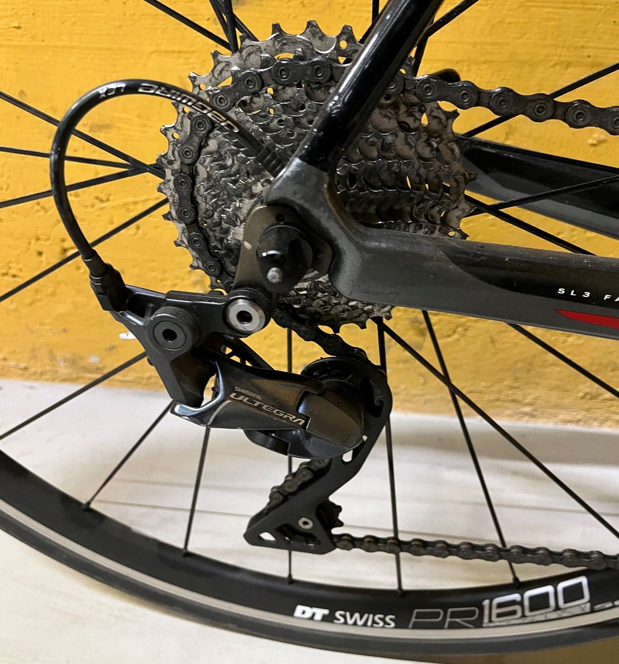 Specialized Velos: Specialized Roubaix Carbon, Gr. 57 – Gebraucht aus Bern von  3