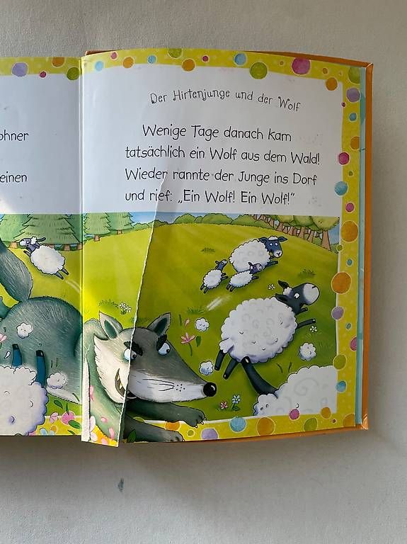 Bücher: Kinderbuch – Gebraucht aus Mauren von melam01 3
