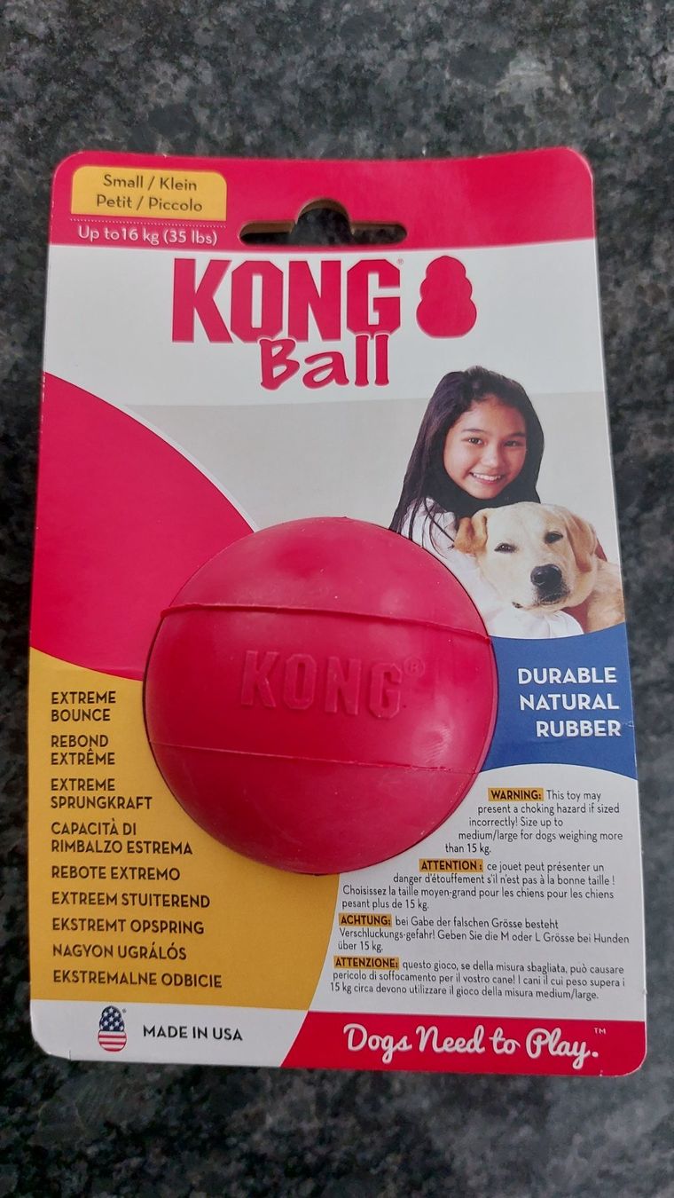 Palloni: Spielball Hund (KONG) – Nuovo e nell'imballaggio originale da Holzhäusern ZG venduto da lea1989