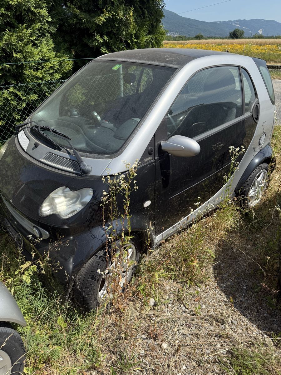 Smart Automobili: 11 Smart Autos – Usato da Niederbipp venduto da baggerch 6