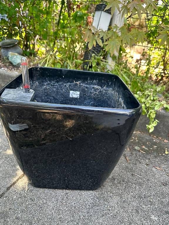 Blumentöpfe: Lechuza Pflanztopf – Gebraucht aus Muttenz von mae_r67m