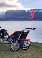 Thule Chariot Cougar Anhänger für Velo/Ski top Zustand