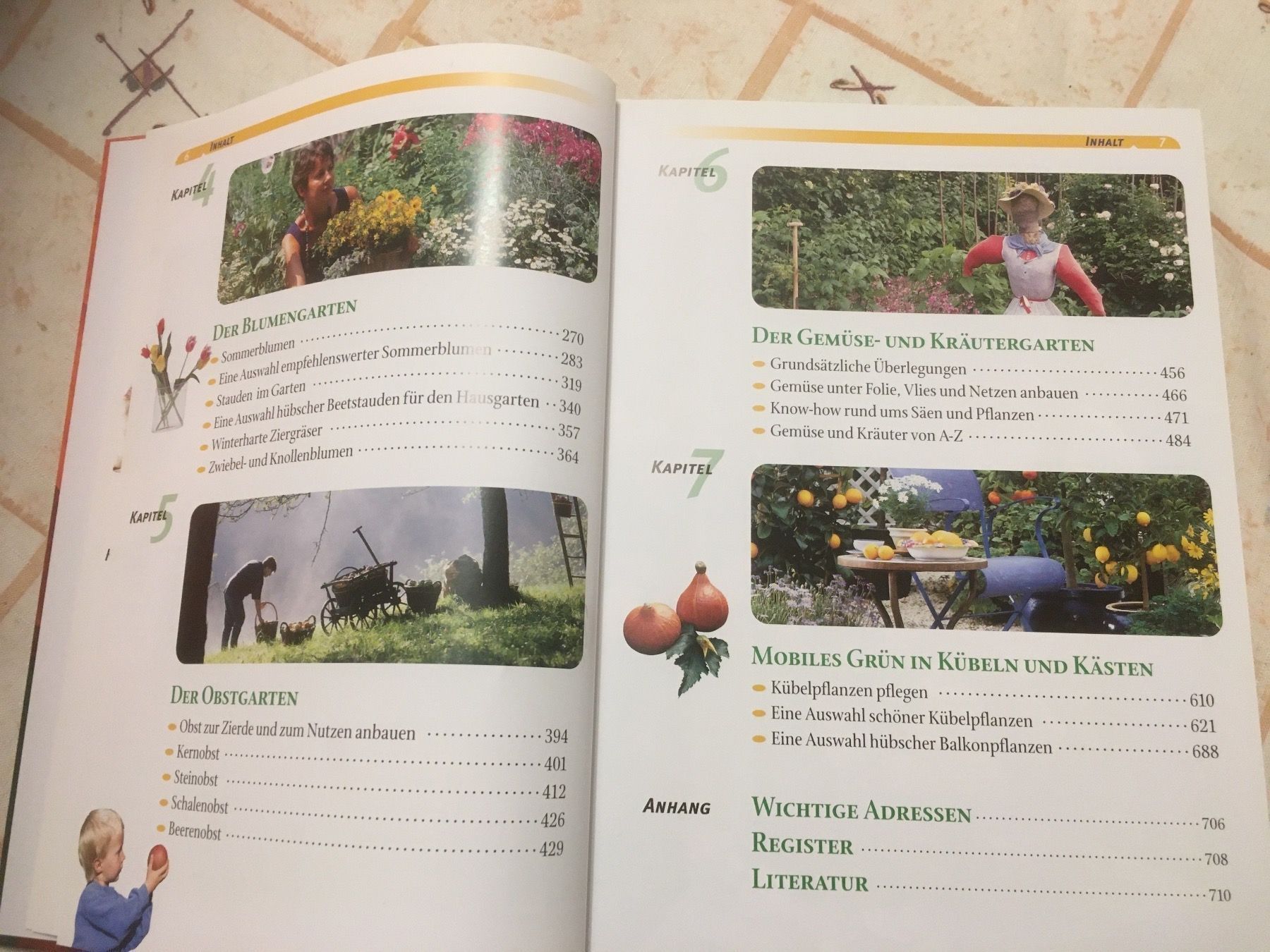 Libri: Garten Buch – Nuovo (secondo la descrizione) da Schaffhausen venduto da ann_g6tx 2