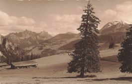 Lenk BE Haslerberg Alpen Landschaft mit Hütte