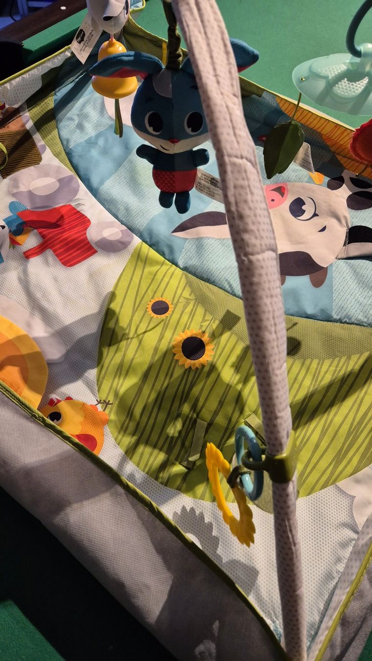 Tappeto da gioco: Tiny Love Activity Gym - Spielbogen, neuwertig! – Usato da Richterswil venduto da hosttech 1