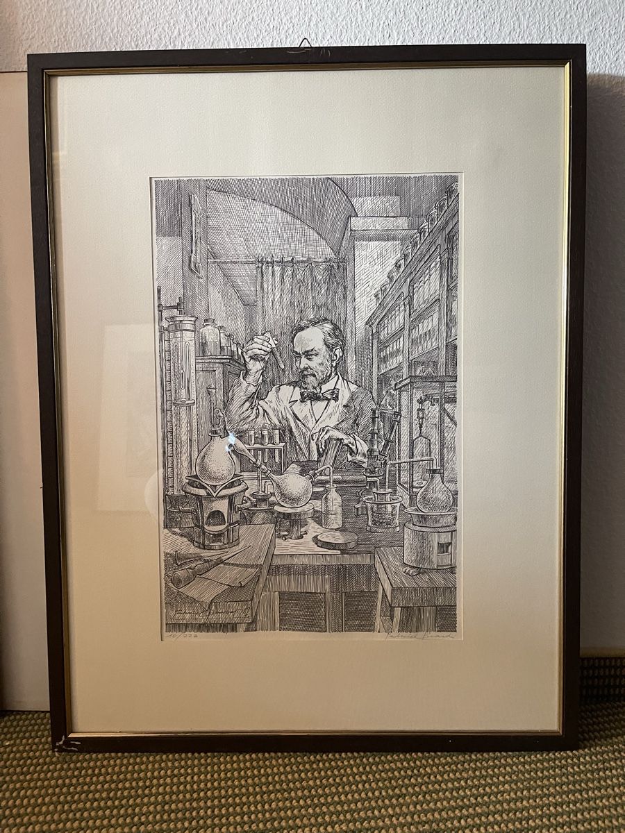 Incisioni: 10 Gravures original scientifique, numéroté, signé S.Cuccolo – Usato da lausanne venduto da sultan18 4