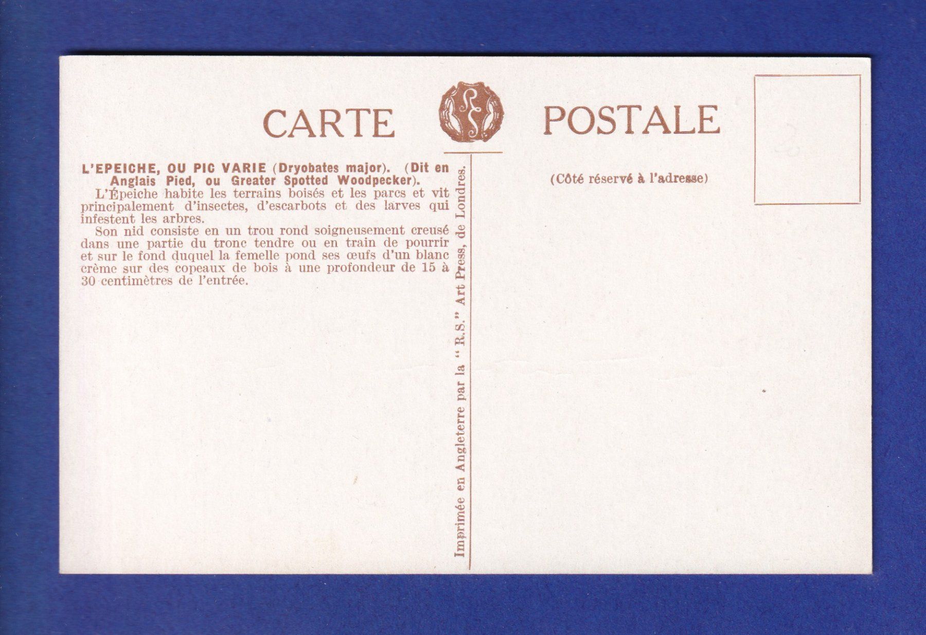 Cartoline postali: OISEAU - Pic Epeiche – Usato da Pully venduto da nicecards-shop 1