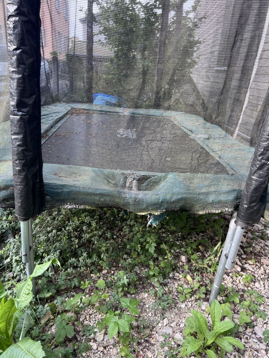 Trampolini: Trampolin – Usato da Münchenstein venduto da haslerch 2