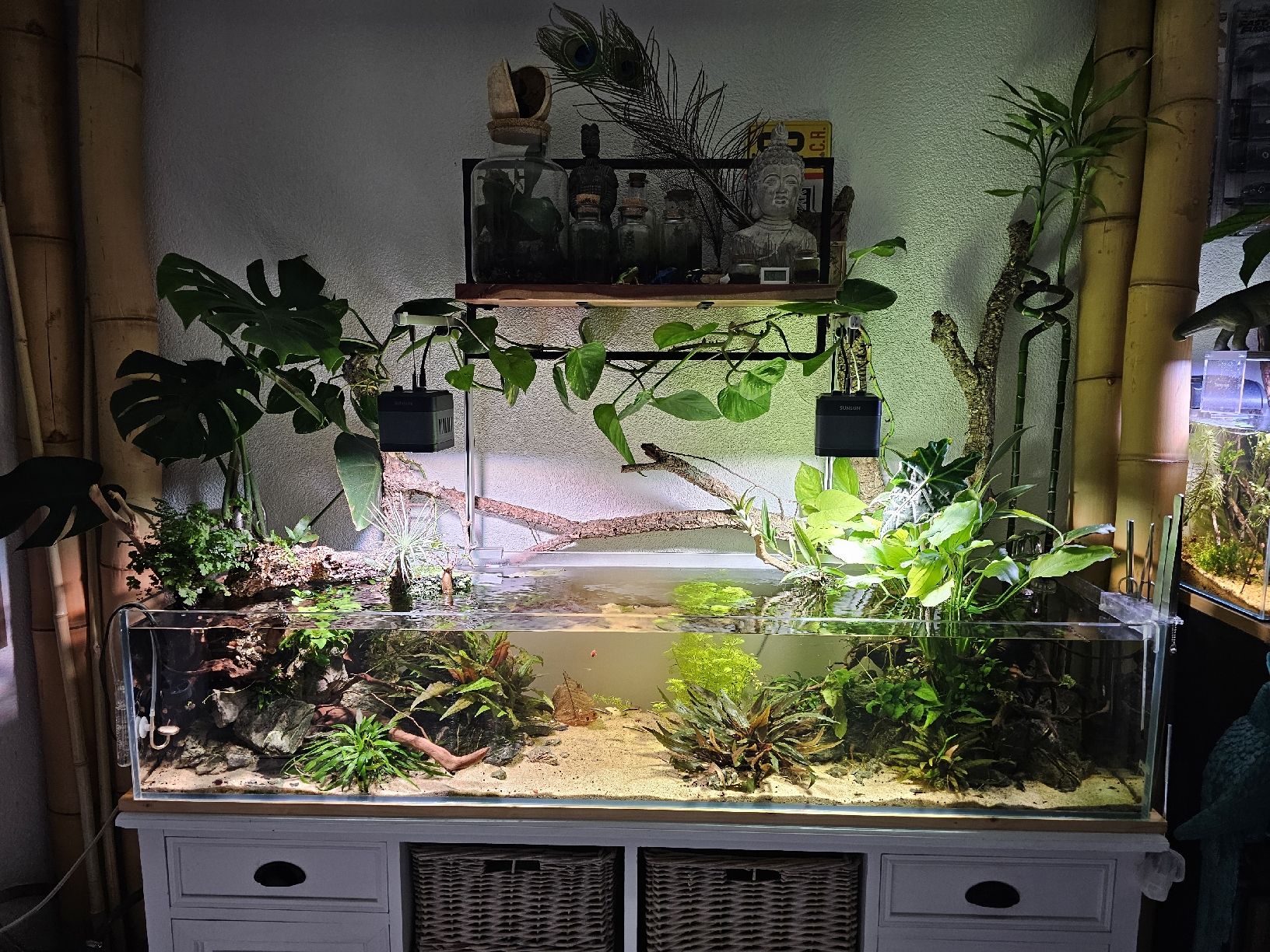 Aquarium: Aquascaping Shallow Poolaquarium – Gebraucht aus Obergerlafingen von Deluxepoint
