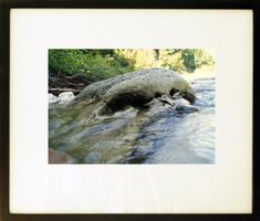 Fotografie: Seeungeheuer