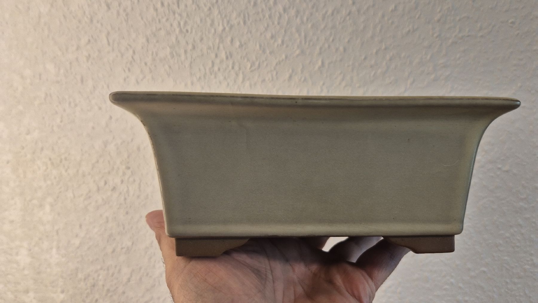 Vasi & Recipienti: 9 bonsaischale/vasi bonsai/pots – Nuovo (secondo la descrizione) da Veyrier venduto da per_c6sz 7