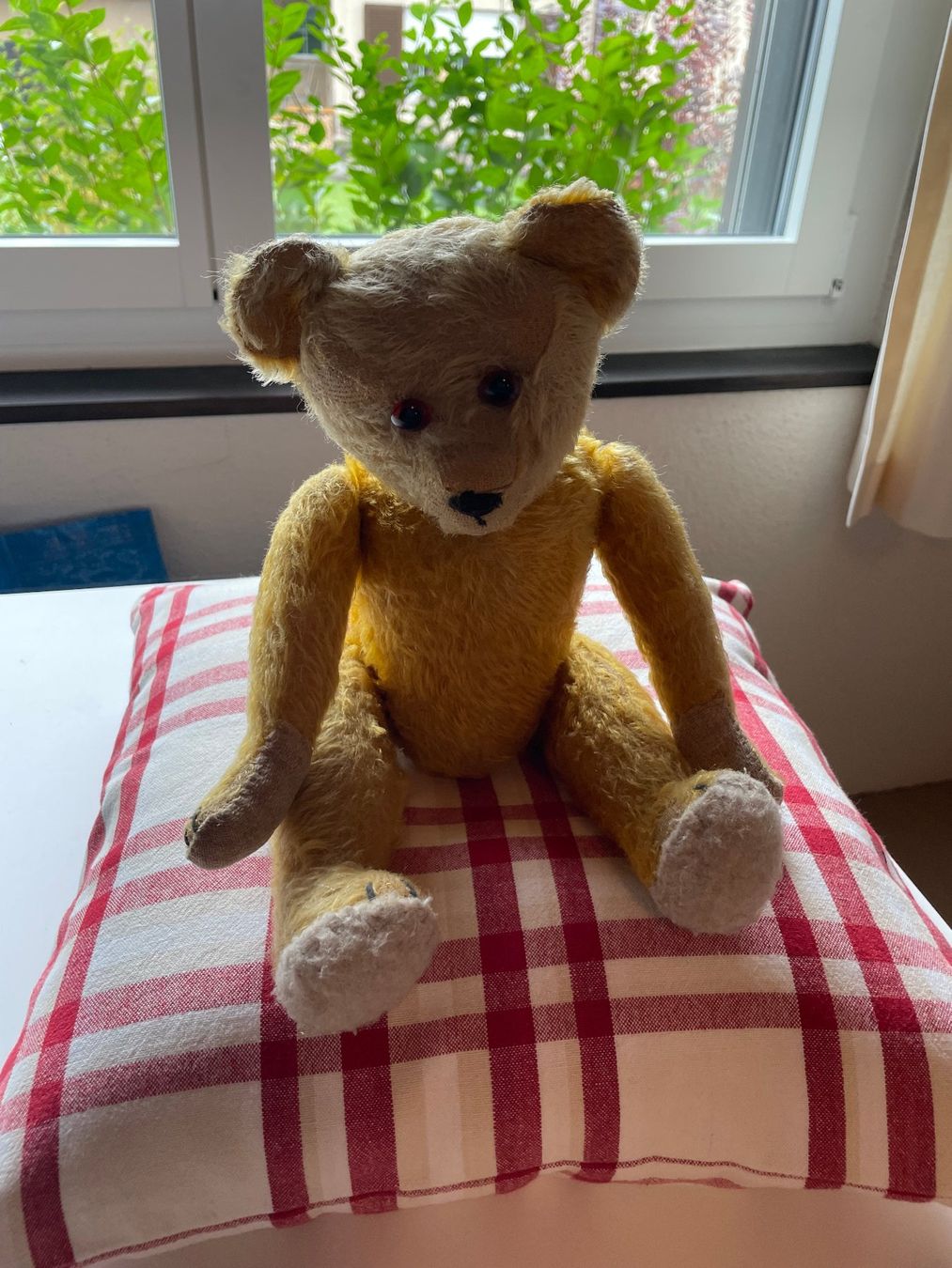 Giocattoli: Teddybär aus Urgrossmutters Zeit – Usato da Hausen am Albis venduto da Werk3 2