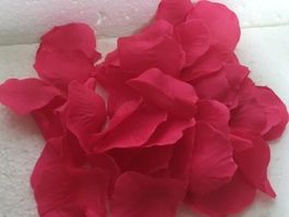 Neu Hochzeit 300 Rosenblätter rot Streublumen Blumenkinder