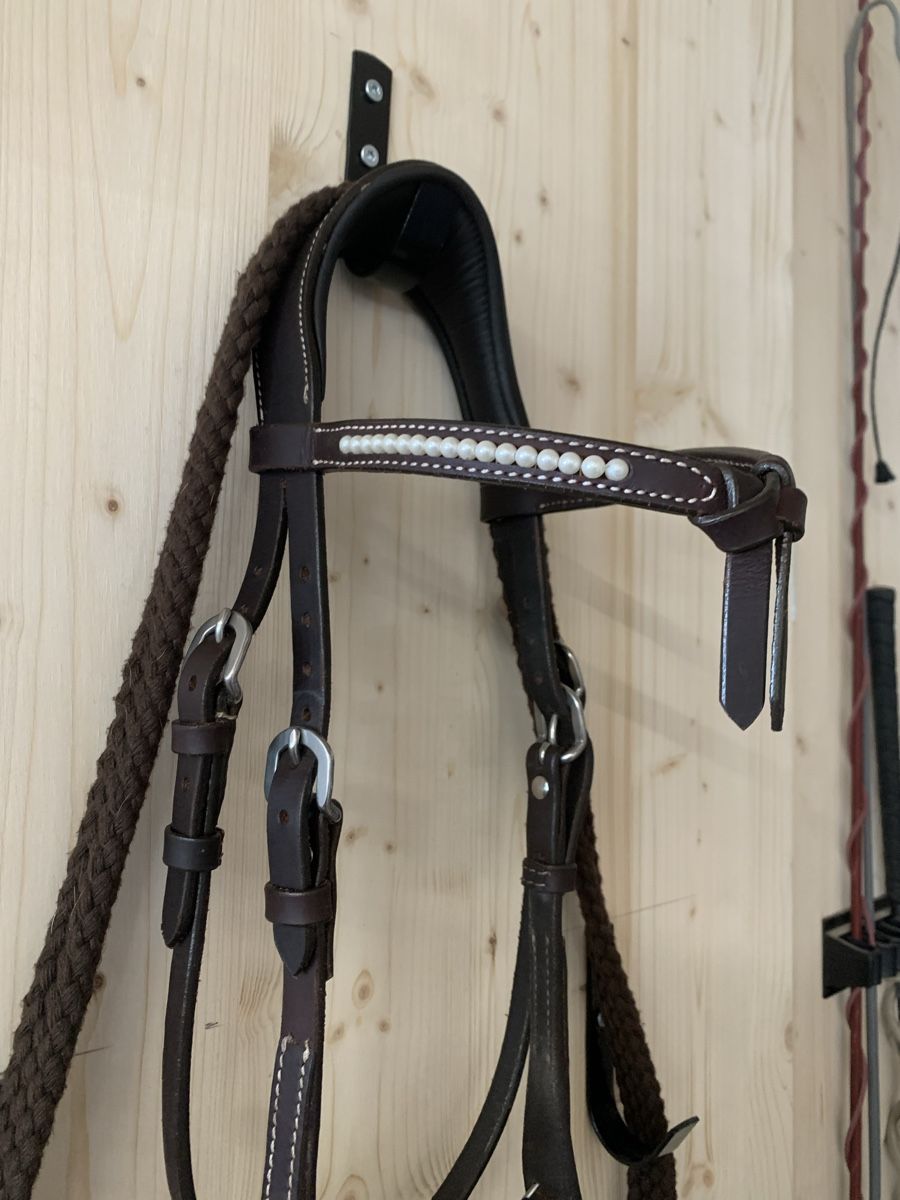 Felix Bühler Briglie & Cavezze: Westernzaum Gr. Cob – Usato da Fruthwilen venduto da m.beer 1