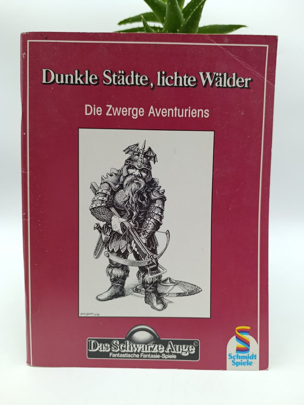 Giochi: Das Schwarze Auge: Dunkle Städte, lichte Wälder – Usato da Wil SG venduto da Donaldus