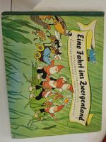 Antikes Kinderbuch "eine Fahrt ins Zwergenland"