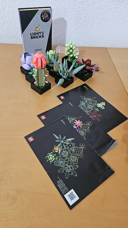 Lego Giocattoli: Sukkulenten 10309 LEGO Botanical & bricks LED Licht Set – Usato da Ebmatingen venduto da RetroVans 3
