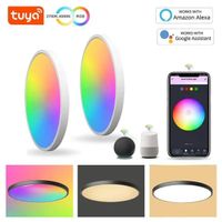 Wifi Smart Led Deckenleuchte 24W Dimmbar RGB - Tuya/Smart Li