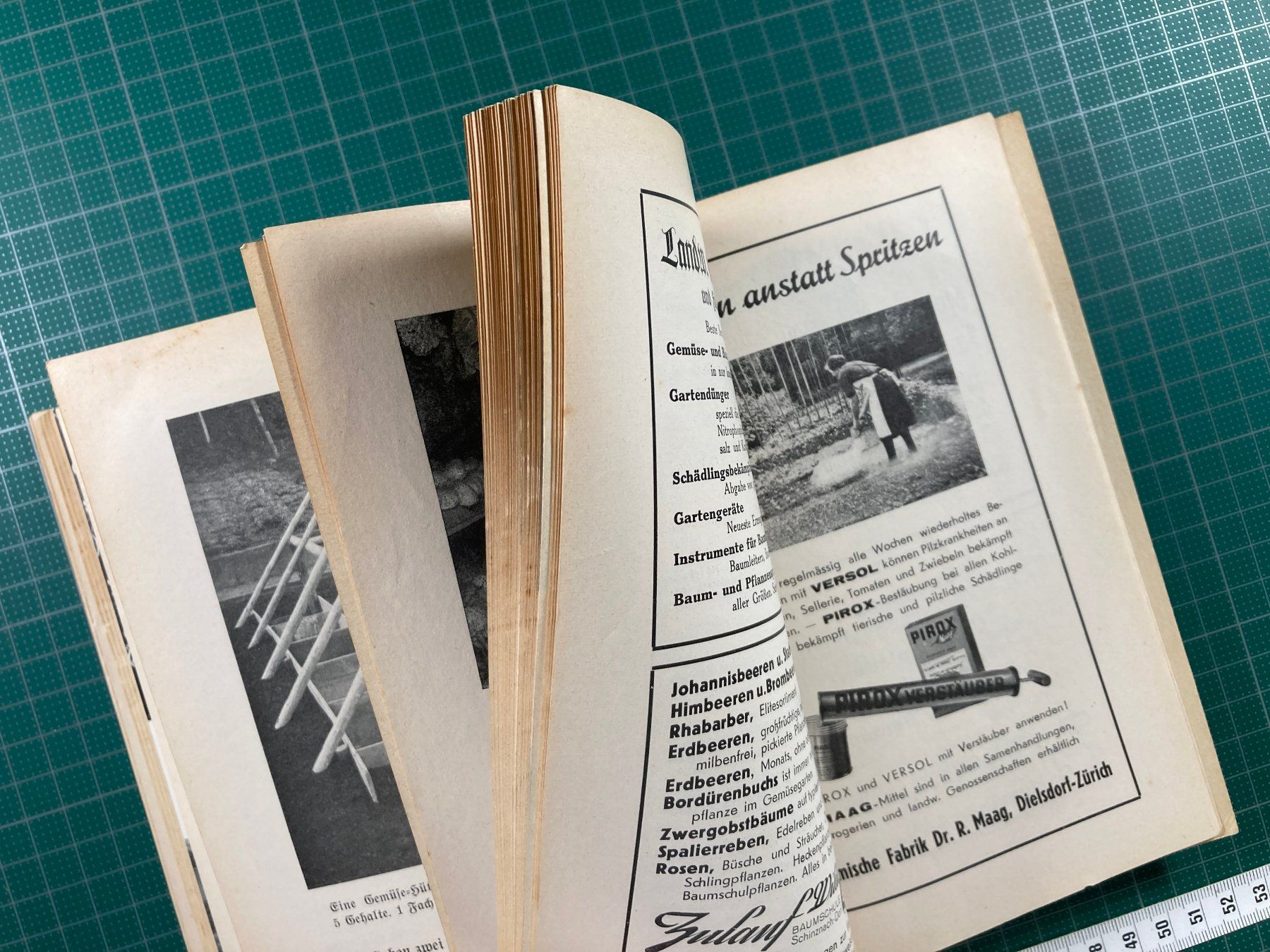 Bücher: J. Siegrist, Brugg: Der Gemüsegarten, 1943 – Gebraucht aus Lenzburg von fh1 9