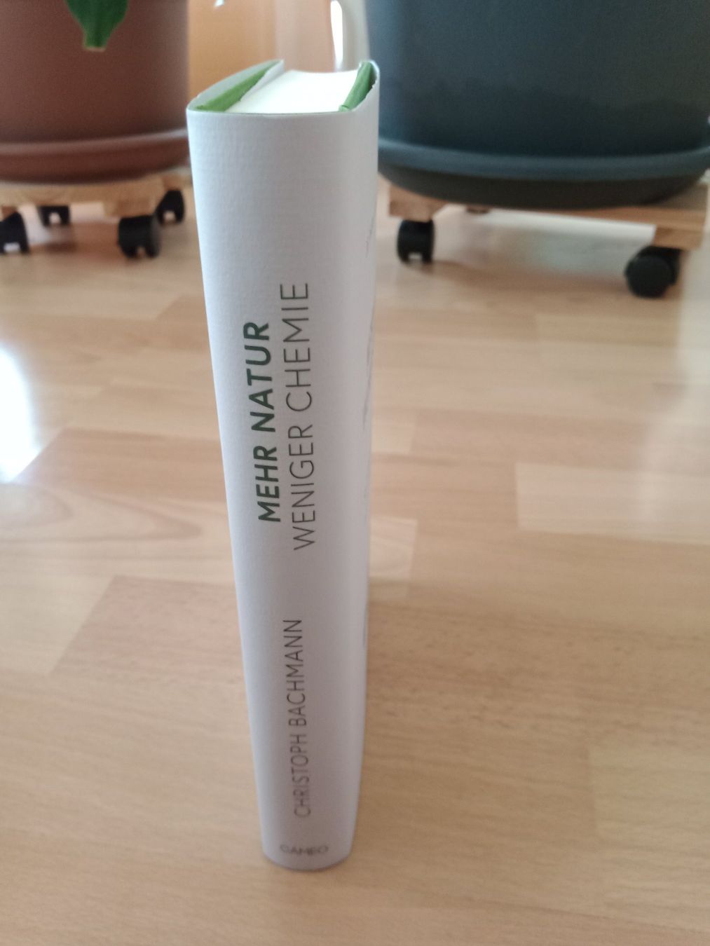 Libri: Christoph Bachmann Phytotherapie Komplementärmedizin – Usato da Wangen b. Olten venduto da EmilythestrangeX 2