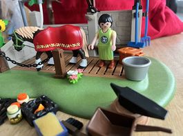Playmobil Pferde Pflegestation