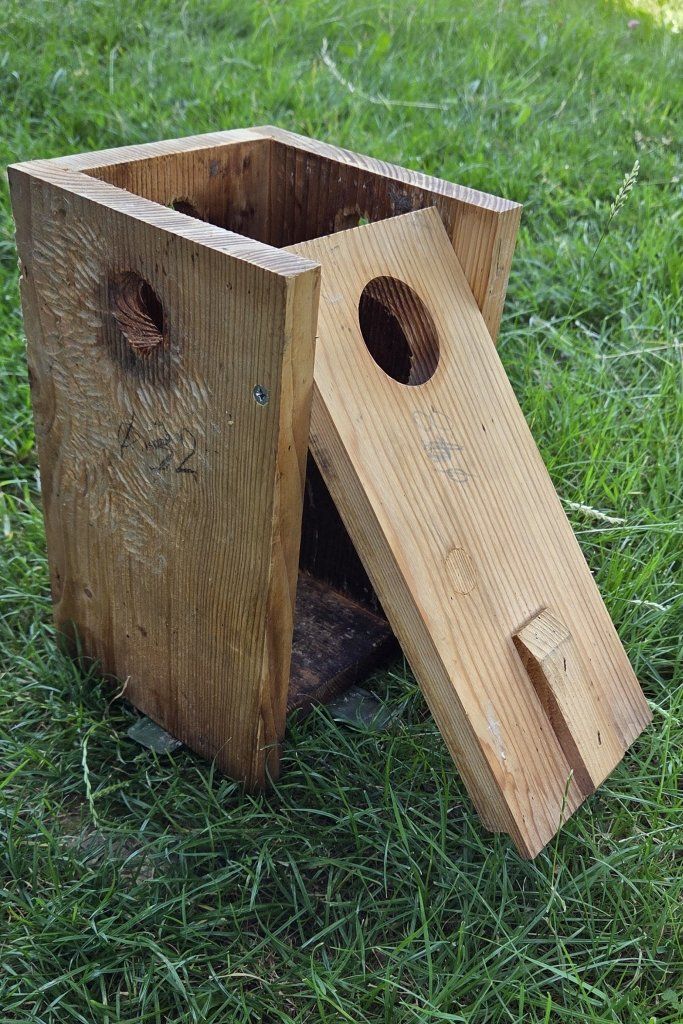Petites maisons à oiseaux: Nistkasten mit 4 wählbaren Einfluglöchern – D'occasion à Stein par Sahara04 3