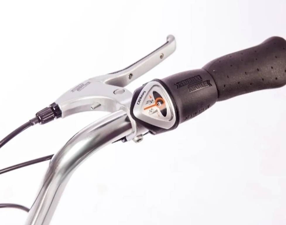 Biciclette: Velo Klapprad Pony Singlespeed – Usato da Zürich venduto da niko92 4