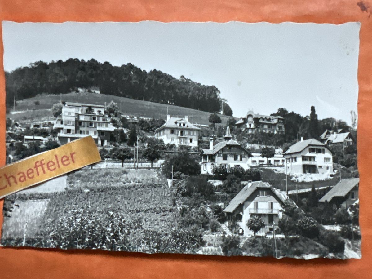 Cartoline postali: 533. Vauseron ( Le Chanet) mit Briefmark – Usato da Zürich venduto da Chaeffeler