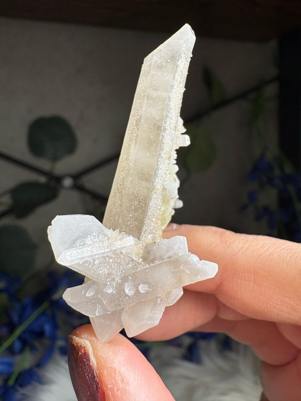 Minerali & Pietre curative: Kolumbianischer Lemurian-Quarz-Cluster – Nuovo (secondo la descrizione) da Neuheim venduto da m.hald 3