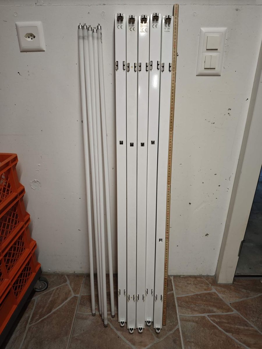 Lampade: Fluoreszenz Leuchten  – Usato da Bühler venduto da comaneci