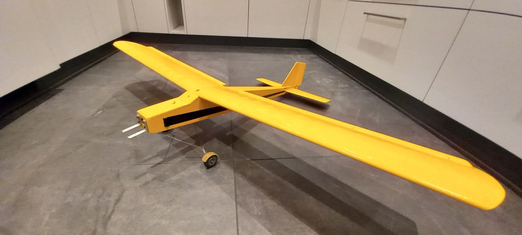 Modellismo RC: Hochdecker Holz – Usato da Rüedisbach venduto da batho01