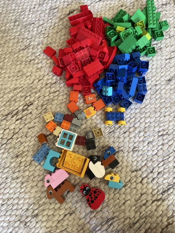 Duplo Spielzeuge: Grosser Duplo Steine Mix - Perfekt für kleine Baumeister! – Gebraucht aus Männedorf von Dorrii85 1