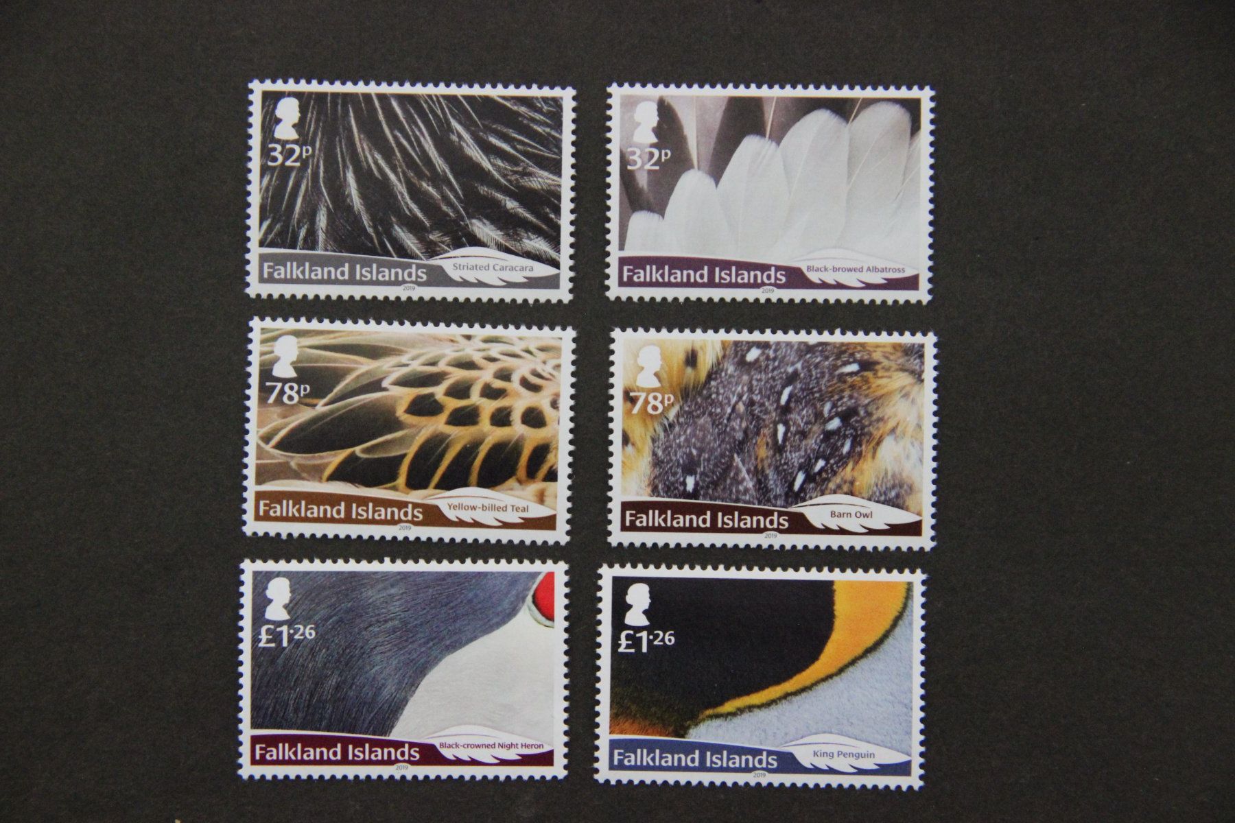 Tutti i francobolli: Falkland Islands 2019 - Feathers** – Nuovo (secondo la descrizione) da Jona venduto da Southafrica07