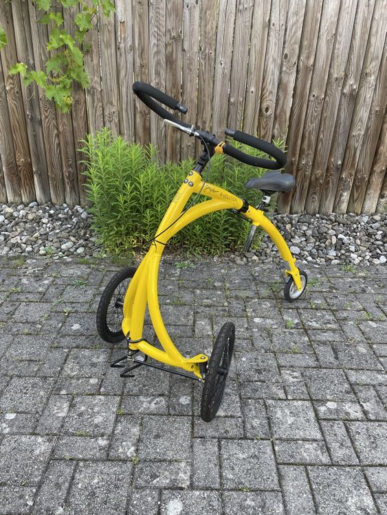 The Alinker Laufrad mit drei Rädern Kaufen auf Ricardo