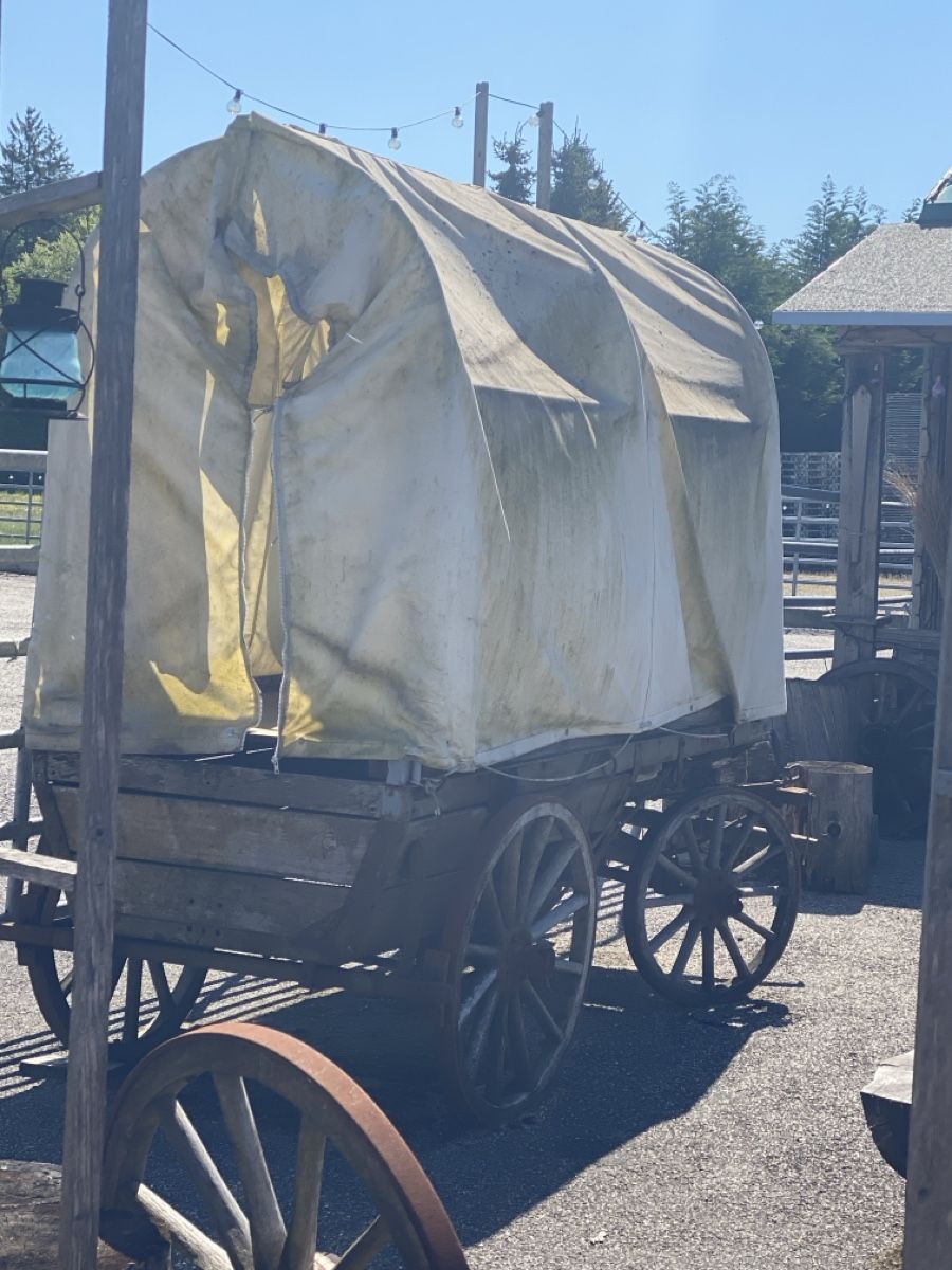 Carrozze: Deko Planwagen – Difettoso da Wolfwil venduto da ISAsShop 3