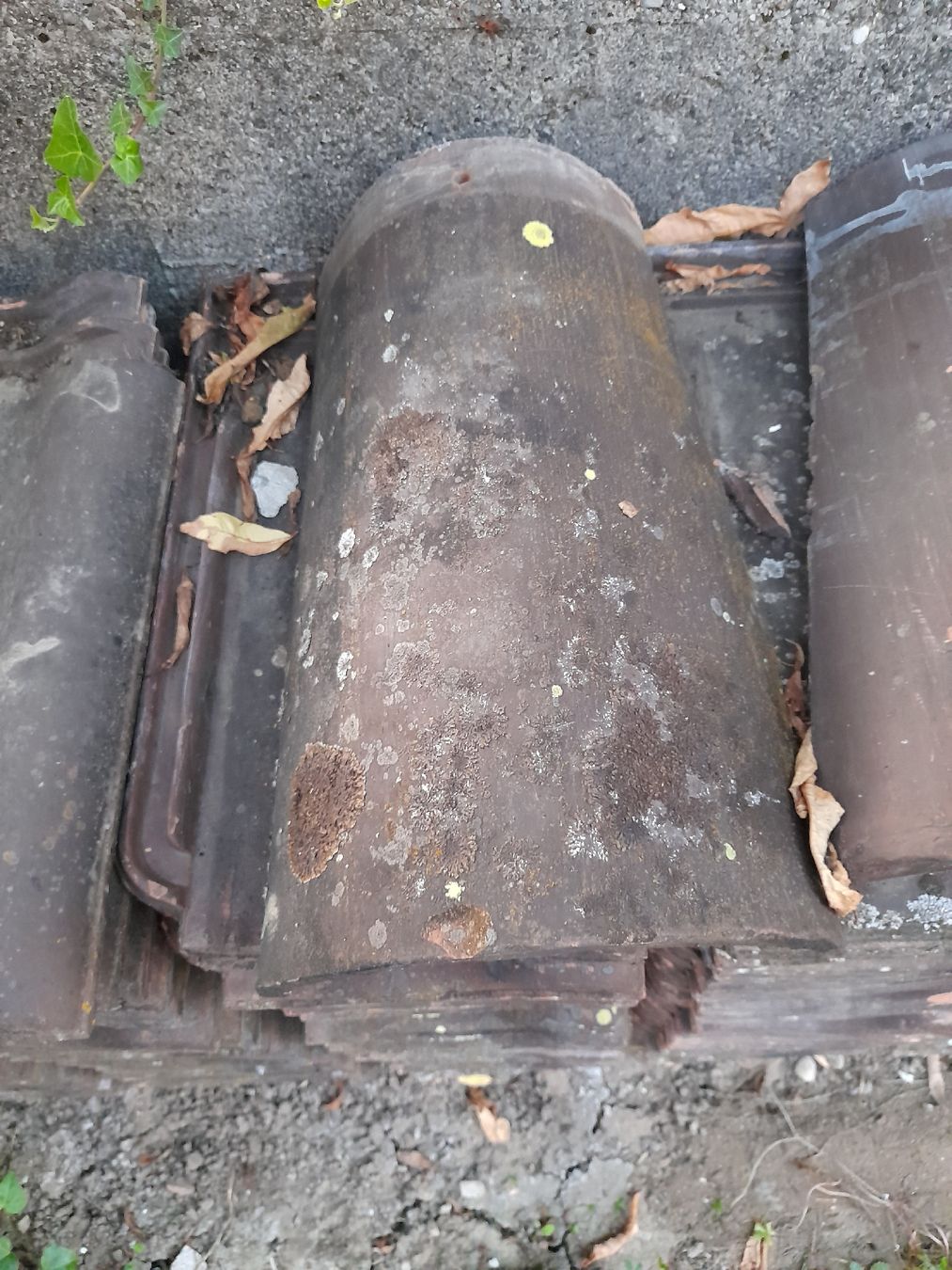 Unterstände: Tuiles passavant iselin – Gebraucht aus Marin-Epagnier von sam_yb2f 1