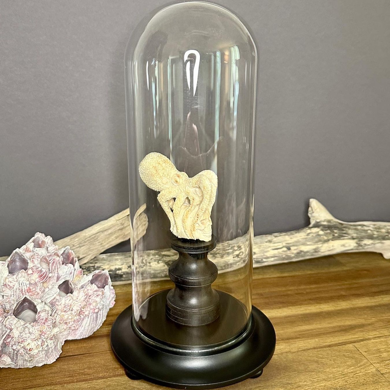 Tutte le decorazioni: Pieuvre sur tête de mort – Nuovo e nell'imballaggio originale da Biel/Bienne venduto da Dragonpandora