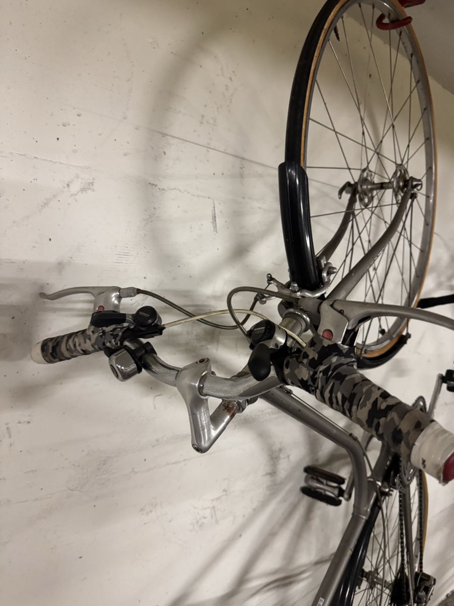 Campagnolo Biciclette: Damen Rennrad/City Velo – Usato da Zürich venduto da Ekaterinek 2