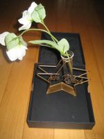 Geschenk Blume in Reagenzglas "für Dich"