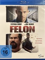 Felon (2008)